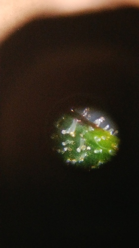 20171002_195524