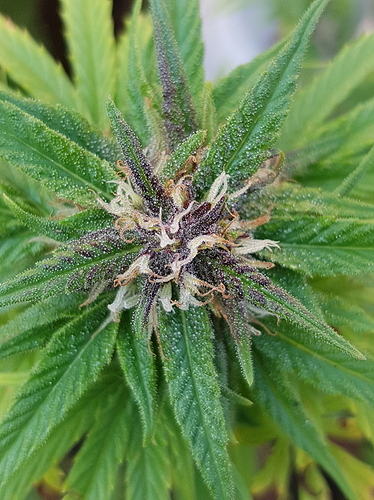 20170912_102728