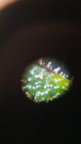20171002_195516