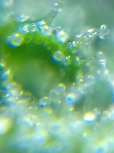 20170714_012536-1-1-1