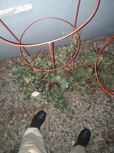 20190306_184240