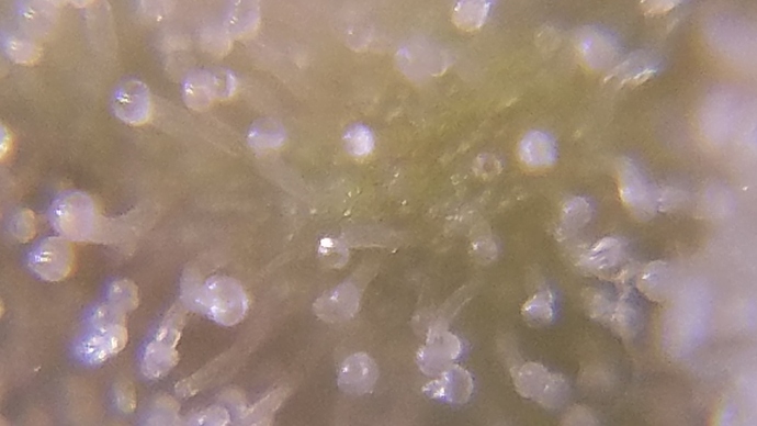 20181101_153435%5B1%5D