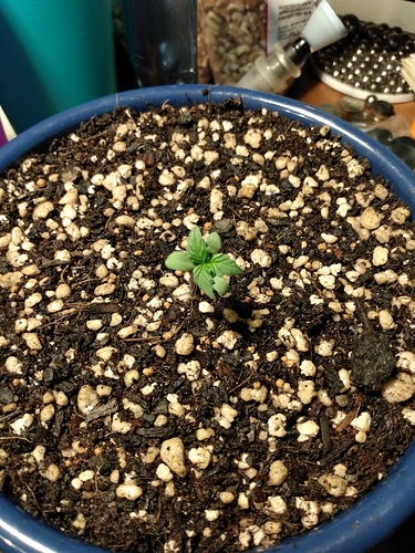 Day5_Left