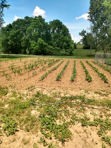 IMG_20220601_121358519_HDR