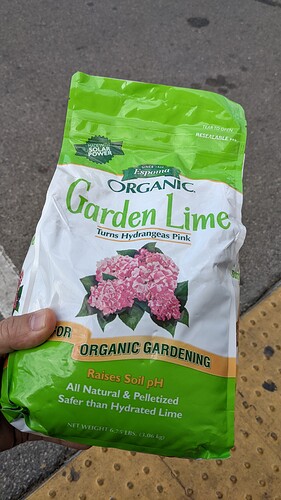 PXL_20211230_174816778