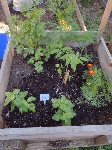 IMG_20220606_073225949 (1)