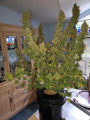 20191116_125510