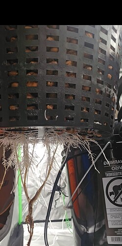 Screenshot_20240209_132424_Gallery