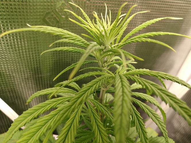 IMG_20210914_180925428