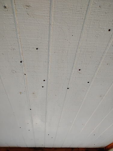 IMG_20251104_073829755_MP_074235