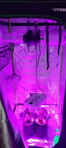 20210425_074954