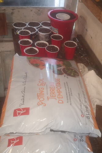 IMG20260511183530