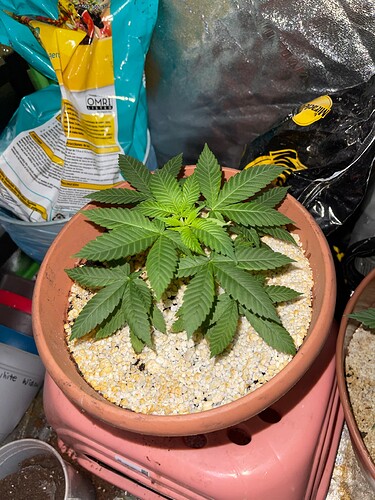 3323F805-2CDE-4EC5-B940-48BAA996C04A