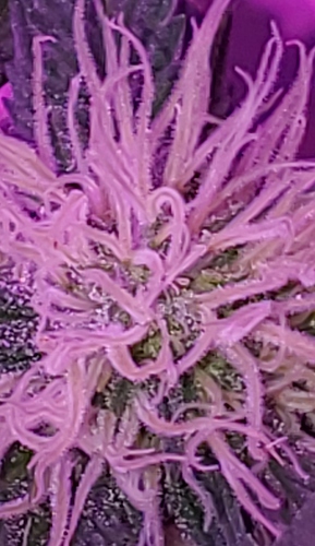 20201022_212141
