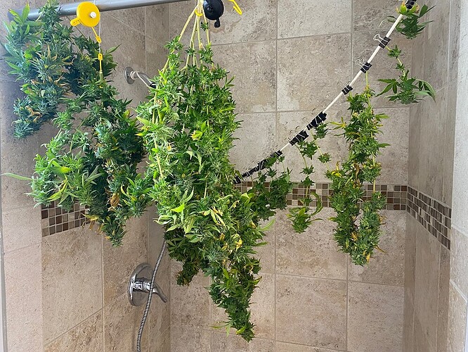 My shower