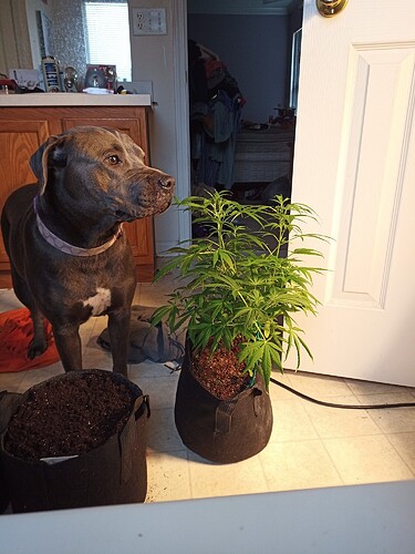 IMG_20210108_101722_011