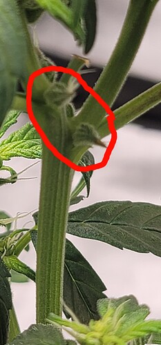 11-10