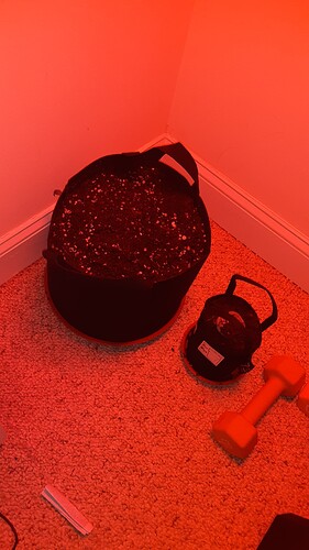 20220201_120110