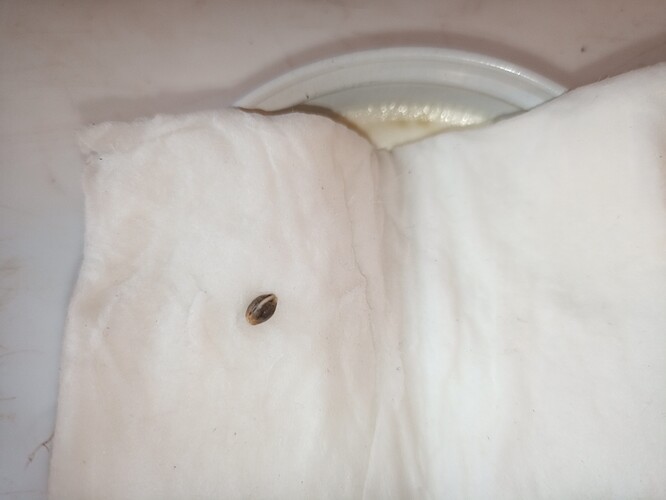 IMG_20210108_095708_722