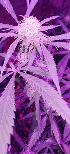 20201022_132913