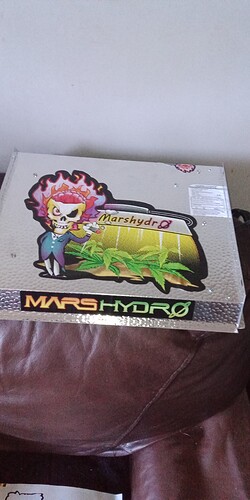 IMG_20210911_123356_097