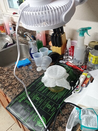 IMG_20251106_070347398