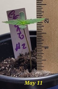 May 11 Day 3 G2