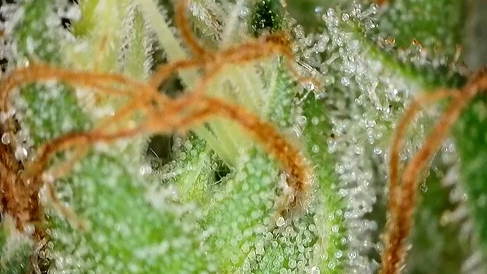 2024-08-04-19-15-38-131