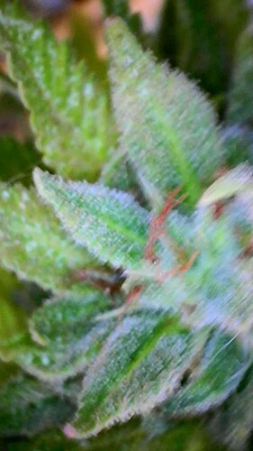 2023_10_28_17_49_18_933