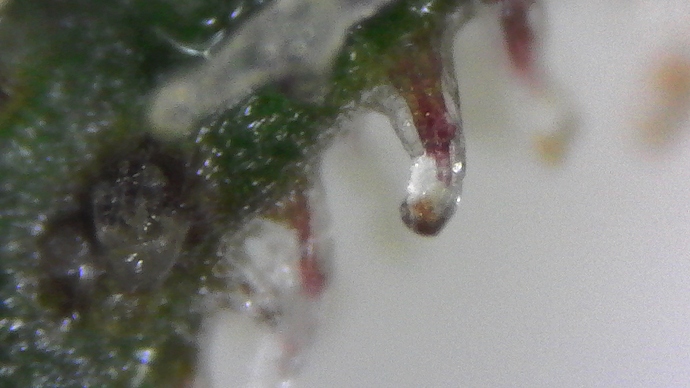 S20200729_0024