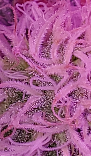 20201022_212157