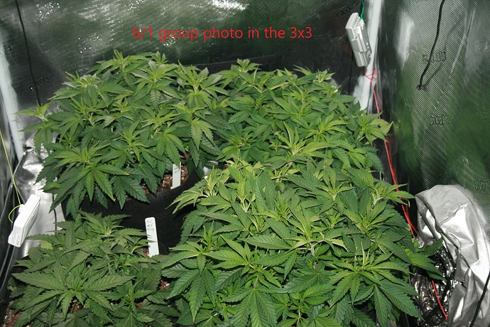 Z6-1-3