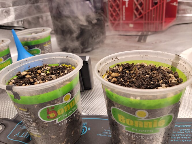 16969487588498072449561899848835