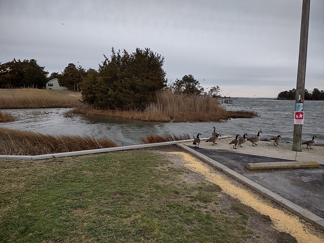 IMG_20210319_093429921_HDR