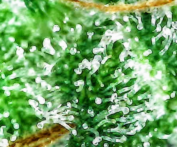 Photo_2024-10-09 16_17_33_508~2