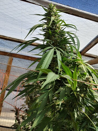 20231026_135149_HDR