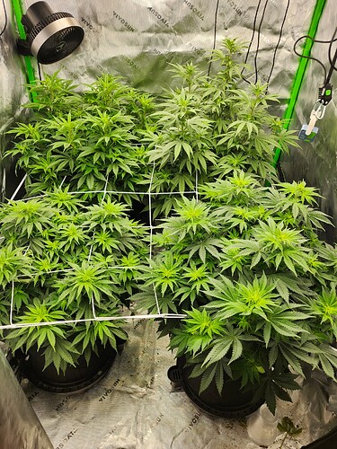 week8