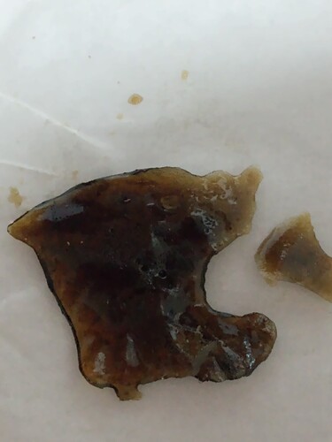 IMG_20251106_070326278