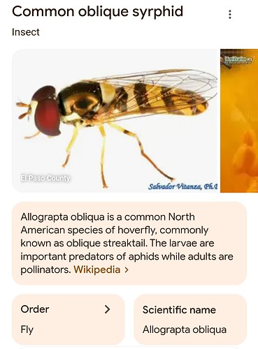 Screenshot_20240910-190529