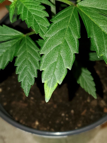 15822554945625019035582313756566