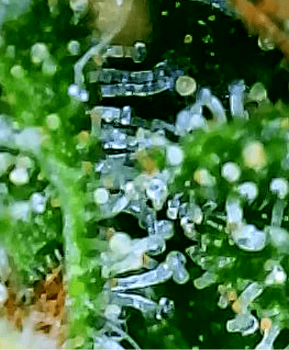 20230430_105733