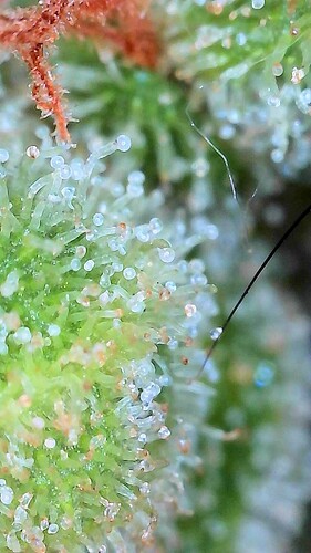 2025-07-31-07-35-34-143