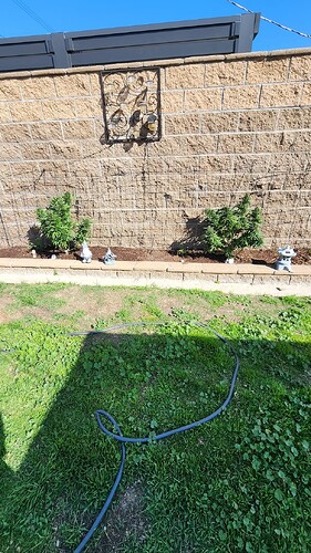 17502007464844223183711779774943