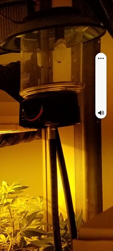 Screenshot_20210309-212250_Gallery