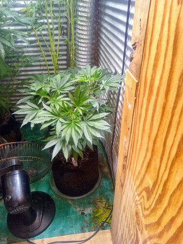 IMG_20240913_054854337_HDR