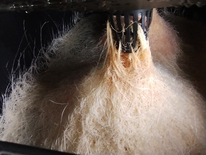 IMG_20250227_161920075