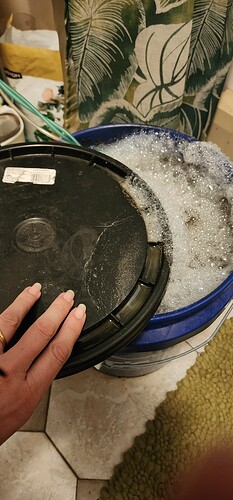 16849532258188746181676279277705