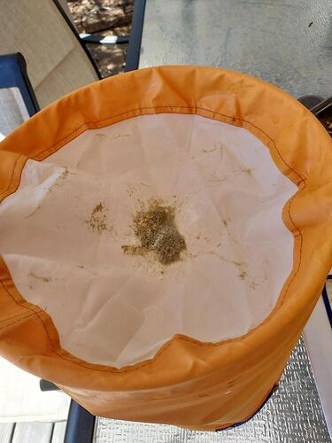 Resized_20251005_123411