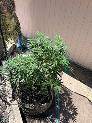 IMG_3145