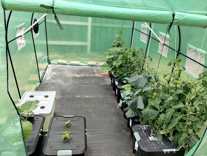 IMG_20250227_133812205_HDR